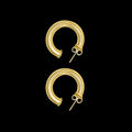 Earrings 234