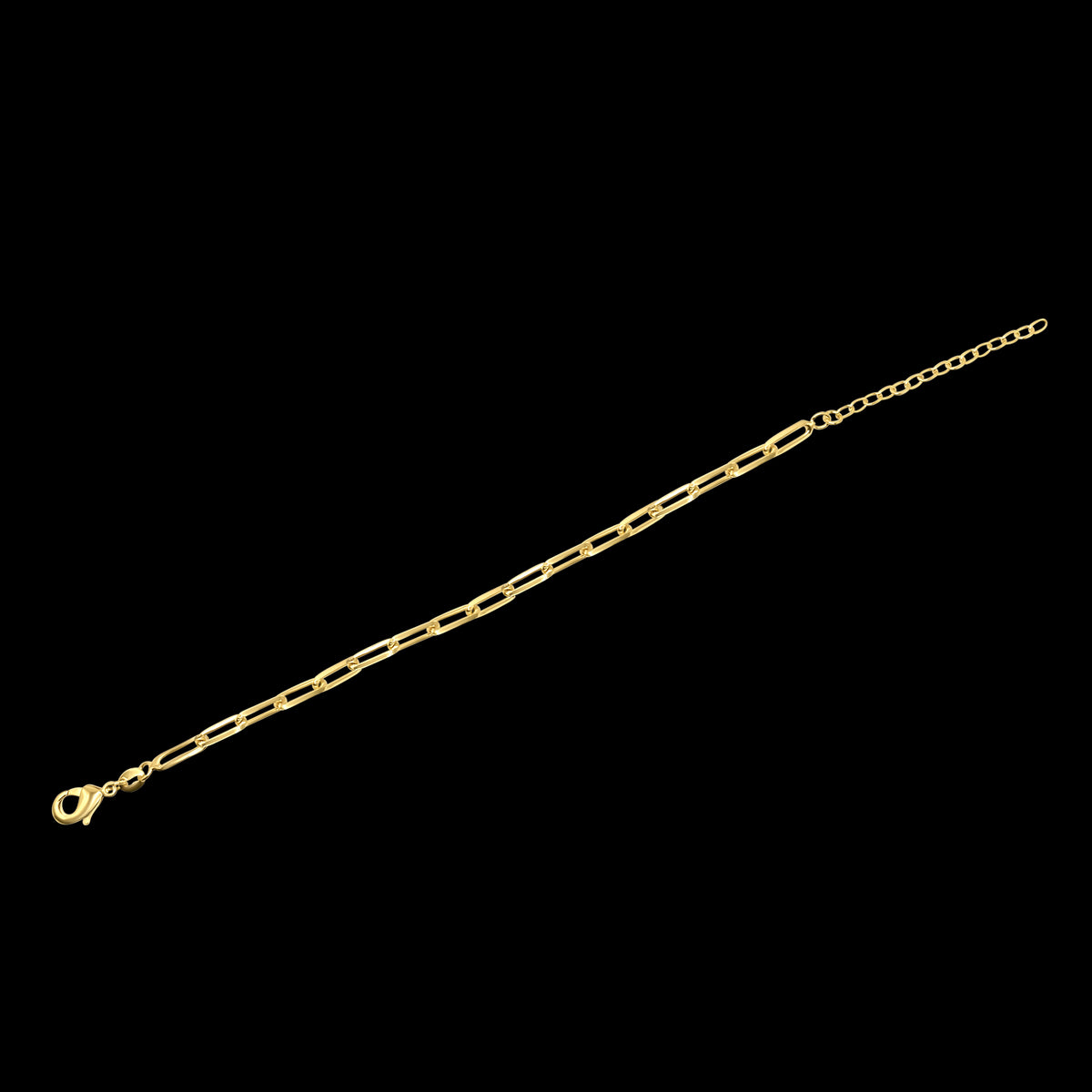Paperclip Chain Anklet